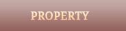 Property_Button_Image